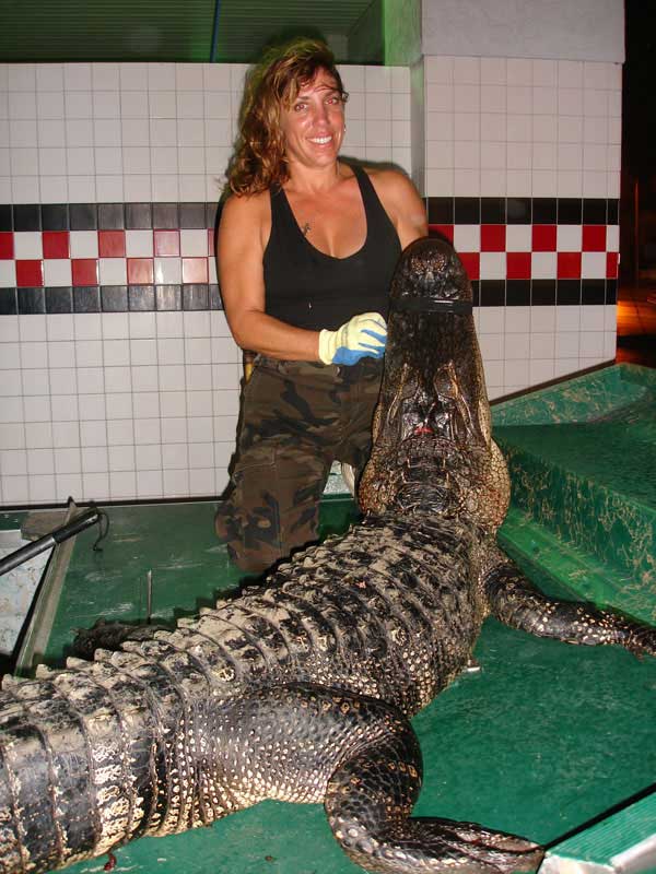 hunting-in-florida-alligator-hunting-002