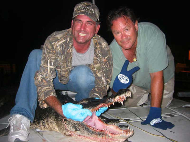 hunting-in-florida-alligator-hunting-004