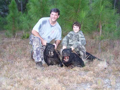 hunting-in-florida-hog-hunting-003