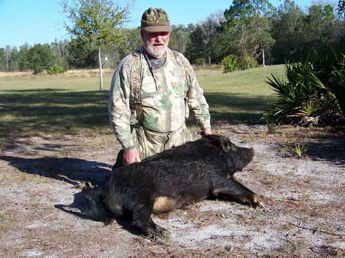 hunting-in-florida-hog-hunting-004