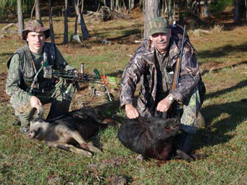 hunting-in-florida-hog-hunting-006