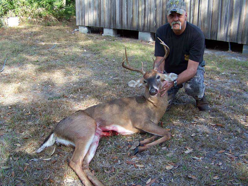 hunting-in-florida-whitetail-deer-hunting-005